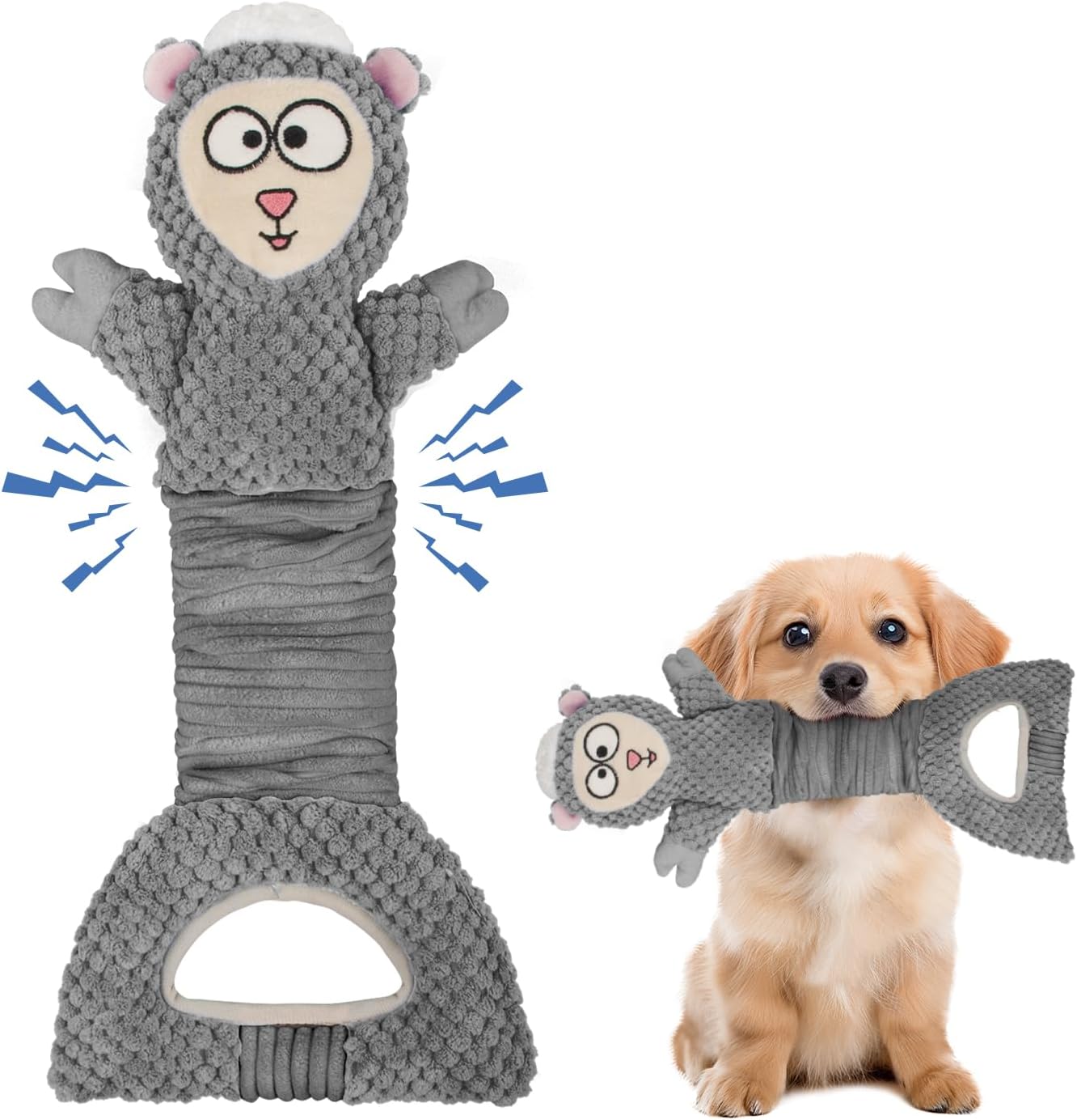 Dog Squeak Interactive Pet Toy